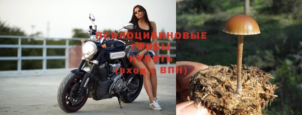 сатива Шарыпово