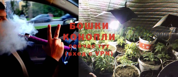 прущая мука Шадринск